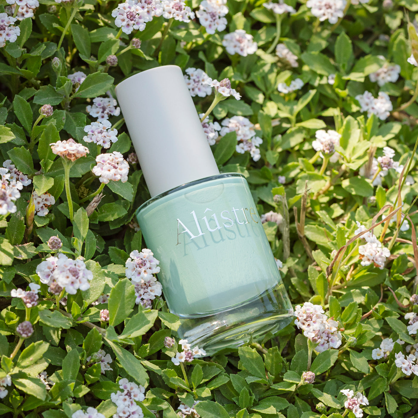 Alûstre 256 Creamy Moss